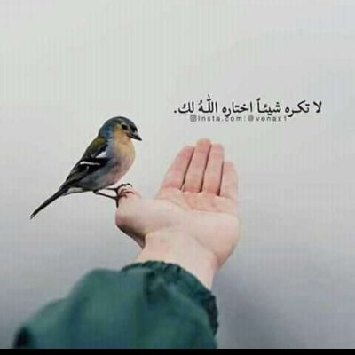 يـــــآريـت الــــدنيــآ حــِلــوه مـــــتــــــل حــنيتـــك💗💗🌍🧷 !!💗💗💗💗💗💗💗💗💍