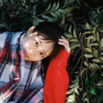 chihirotairaku's profile picture. 