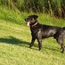 Dukes helley (@birddogg2) Twitter profile photo
