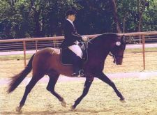 ColetteSossaman's profile picture. Introducing....Riding Lessons to Go--the ONLY Dressage training product that lets you listen to professional lessons while you ride from your MP3 player