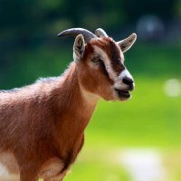 TebzMK3 (@mk3tebz) Twitter profile photo