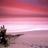 Amber_Leonard's profile image