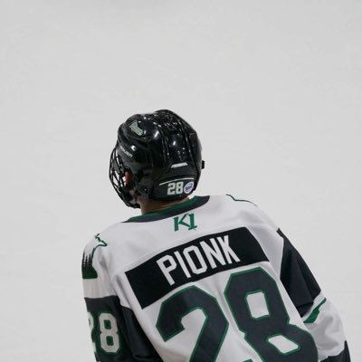 Aaron Pionk Profile