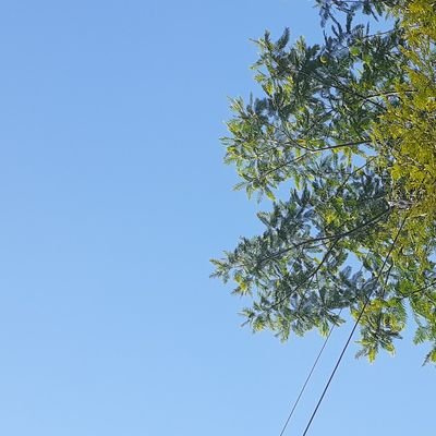 aqui eu salvo coisas de importância
de que gosto de relembrar,
palavras, expressões.
livro pessoal de estudo á vida,
ler, reler, ler de novo, assimilar.
