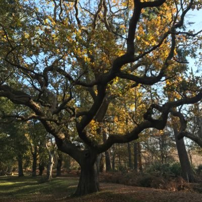 marci_joscelyne's profile picture. design. food. travel.