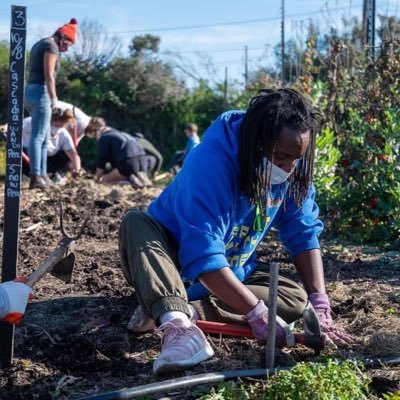 Urban Tilth cultivates agriculture in west Contra Costa County to help our community build a more sustainable, healthy, and just food system.