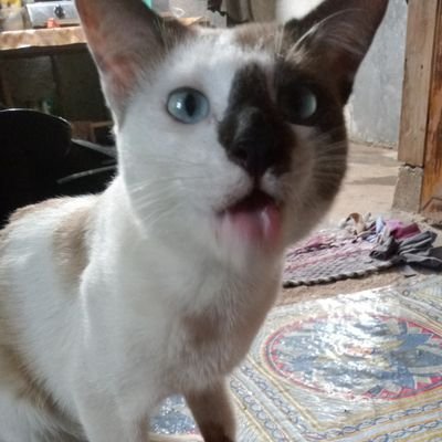 deyy98's profile picture. happy family