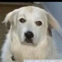 jimbill (@jim_from_jersey) 's Twitter Profile