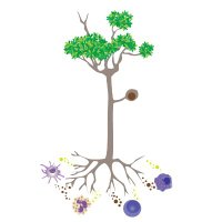 Waldiceu A. Verri Jr. Lab (@verrilab) 's Twitter Profile