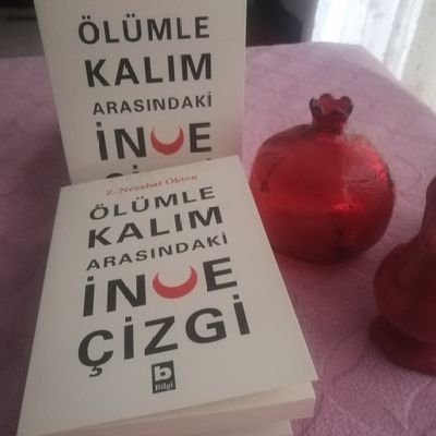 Şiir ve edebiyatla uğraşan GATA dan emekli hemşire-evli 2 çocuklu