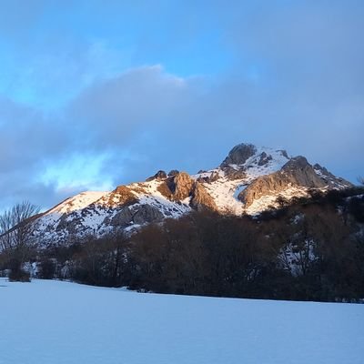 CocineraGaia's profile picture. #FloresCazurras