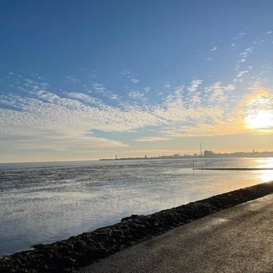 truffer's profile picture. IT | .NET | Cloud | Foster Dad