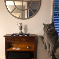 George Sutcliffe (@sut14) 's Twitter Profile