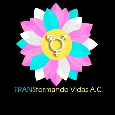 Organización Civil dedicada a defender los Derechos Humanos y velar por una vida digna para la comunidad TRANS en el estado de Zacatecas. 🏳‍⚧