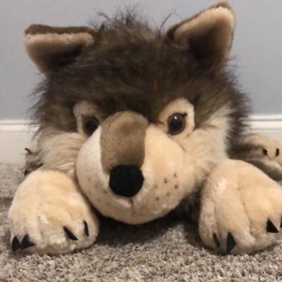 Nadiawolfs8's profile picture. I like cheetahs