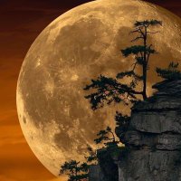 قارئ | Saif (@sai_f_x) Twitter profile photo