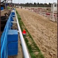 Suffolk Downs Greyhound Stadium. (@suffolkdowndogs) 's Twitter Profile