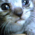 eeyore (@eeyore9) Twitter profile photo eeyore (@eeyore9) Twitter profile photo