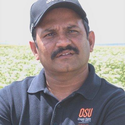 RameshSagili's profile picture. 