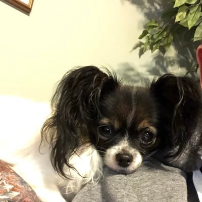 SubparLyle's profile picture. Retired Middle School Teacher Avid golfer and tournament player Golf Canada Rules certified at Level 4, 2013 and 2016 and Golf Canada and R&A Level 3, 2019.