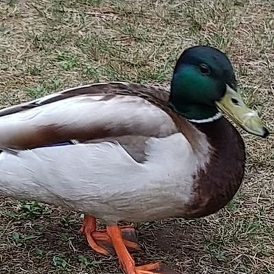 ものちさんのプロフィール画像
