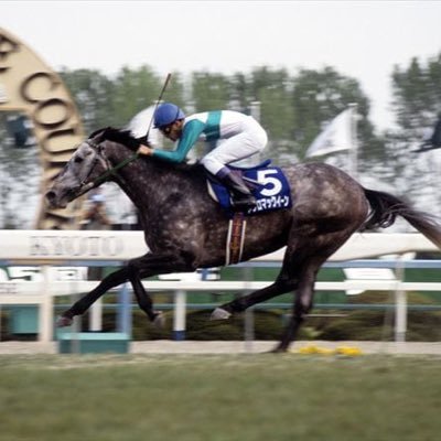 KeibaDreams's profile picture. あなたの、わたしの夢が走ります。 /2021年12月設立/現在メンバー数：18名（自己紹介note→https://t.co/fEtp2k2lim）/活動内容：コラム掲載、重賞予想、ミーティングなどなど/メンバー絶賛募集中！/ご連絡はDMにお願いします🙇‍♂️