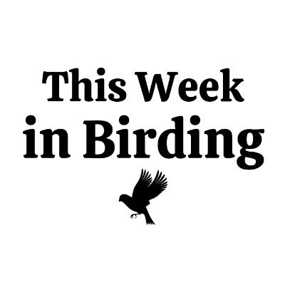 Everything you need to know about #Chicago #Midwest #GreatLakes birding. Powered by Turnstone Strategies.