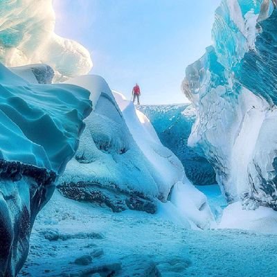 changxiangyier3's profile picture. 有花堪折直须折，莫使金樽空对月