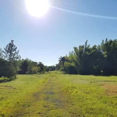 Este es perfil del Jardín Botánico Las Tunas