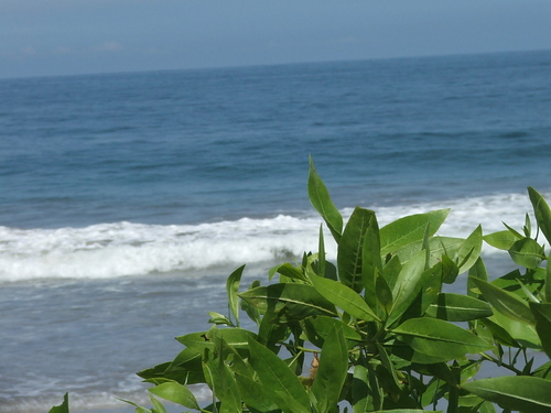 robertorenevf's profile picture. 