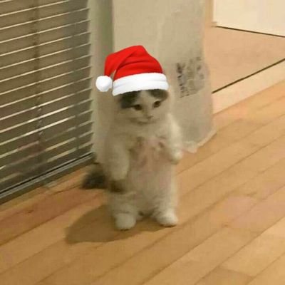 liz_kkkjj's profile picture. Liz -
12y -
ela/dela - 
pan -