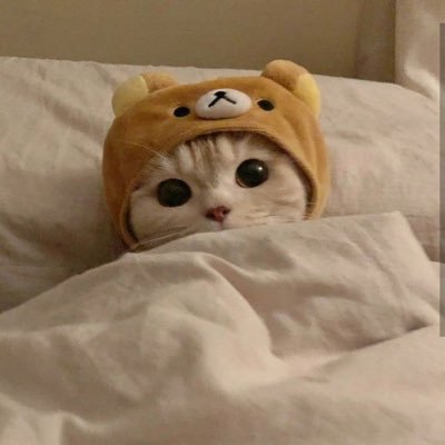 초코우유さんのプロフィール画像