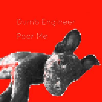 Dumb Engineer Poor Me
