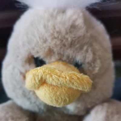 xiueerhao's profile picture. for crypto