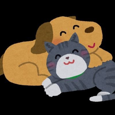 23歳女性 取引垢 先にIDで調べ少しでも不安に感じたDMは返しておりません。本垢提示可能です。担当等知りたい方はお尋ね下さい。