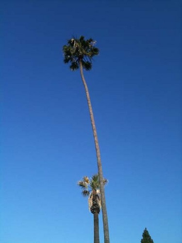 MikeyMikey87's profile picture. Love music, anime, art, and Japanese culture!