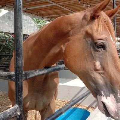 نفسي عزيزه وافهم العلم لاهنـت
الـذل مايـوم ٍ بعمـري تبعـتـه✨