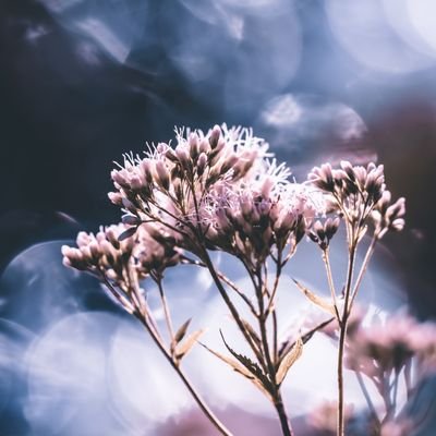 meitas_mamma's profile picture. Mamma vienai meitiņai peciņai kopš 09.2021 un otrai no 06.2025 🩷