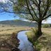New Mexico Acequia Association (@acequias_nm) Twitter profile photo New Mexico Acequia Association (@acequias_nm) Twitter profile photo