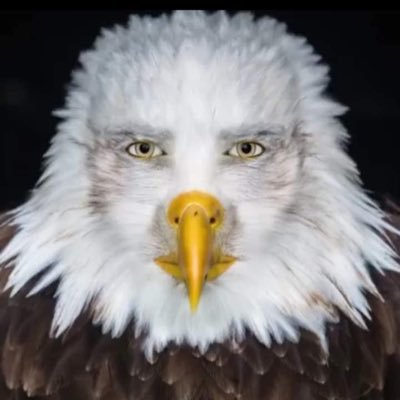 johnnymanzs's profile picture. I wish I had cleavage so avoiding eye contact was easier.