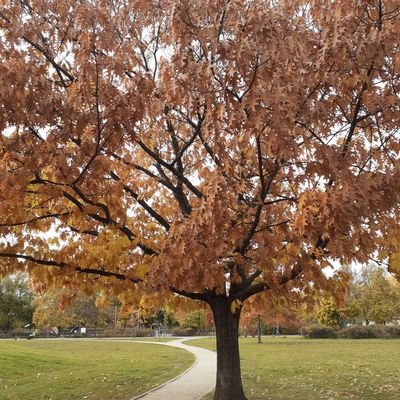 TomKru9's profile picture. Tylko zjednoczona prawica