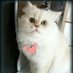 세상만사 (@wwww764ppekzt5n) Twitter profile photo 세상만사 (@wwww764ppekzt5n) Twitter profile photo