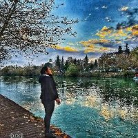 Mizgin KAHYA (@mizgin_kahya) Twitter profile photo