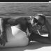 Beachbum Girl (@girlbeachbum) Twitter profile photo Beachbum Girl (@girlbeachbum) Twitter profile photo