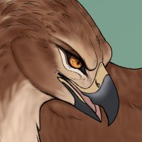 Gyrhawk🔜 JMoF, NFC (@gyrhawk) 's Twitter Profile