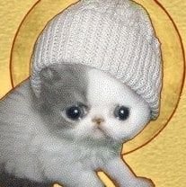 👁 катéнь👁 💙💛さんのプロフィール画像