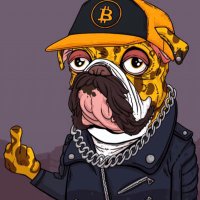 Bitcoin Bull - Dcr 🦬🦬🦬(@Knighty_007) 's Twitter Profile Photo