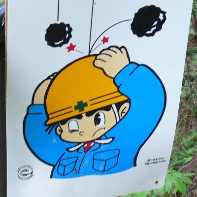 gohansujiko's profile picture. 名前は病気の影響で免許が取れなかった時からの名前。