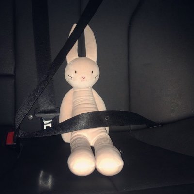 tynqu's profile picture. 😼