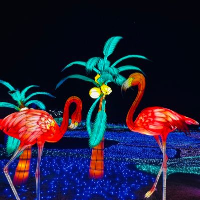 j___916's profile picture. アカウント消して新しくした